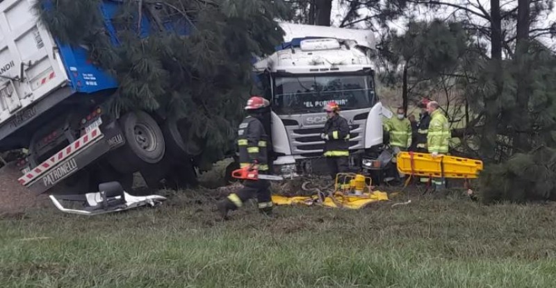 Tandil: un camin se despist y termin entre los rboles